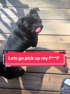 Pet moms, these are the must have bags to pick up poop! @earthrated Durable, scented, and leakproof! #tiktokshopstockup #earthrateddogmom #dogparentessential #dogmomlife #dogtok