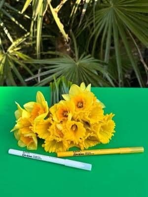 💛 Spring shades, bold lines! 🤍 Just in time for sunshine and soft blooms 🌼 These two stunning NYX Epic Wear Eyeliner Sticks landed in my hands after becoming a Content Master with NYX, and I couldn’t be more excited! ✨ The vibrant yellow and crisp white instantly made me think of Easter eggs 🐣 daffodils, and fresh spring mornings - and yes, a playful pastel-inspired look is coming your way soon! ☀️ They glide on effortlessly, and the pigment? Chef’s kiss! Stay tuned for a full spring transformation. These are going straight into my makeup bag 😎 @nyxcosmetics_uk #ad #gifted #ContentMasters #MakeupAddyx #Glow_with_Ania #NYX #EyelinerPencil #SpringMakeup #BoldLiner #EasterVibes