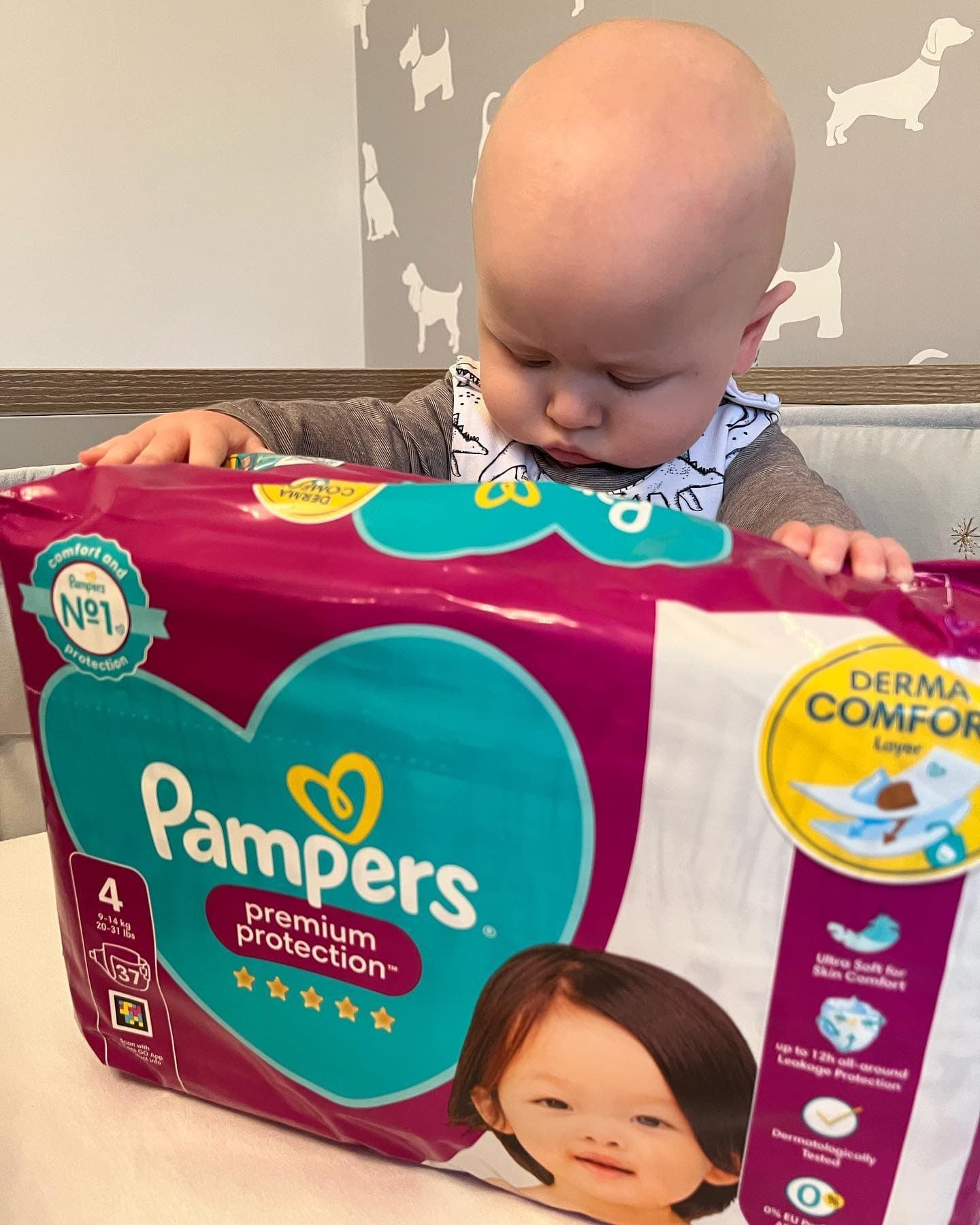theodore had a good hard look at the new Pampers Premium Protection nappies before deciding they were a win!
Pampers N