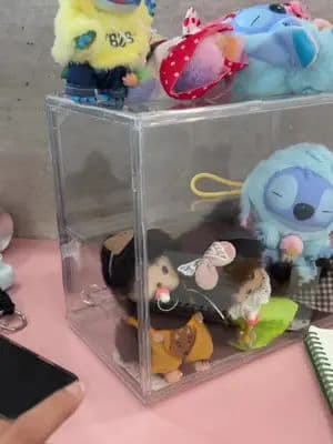 esta cajita para muñecos coleccionables me salió súper barata y ahí puedo guardarlossss:3 #coleccionable #labubu #muñecos #tiktokshop #hirono