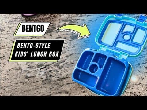 Bentgo Bento Box Maintenance: Keep Your Lunch Fresh