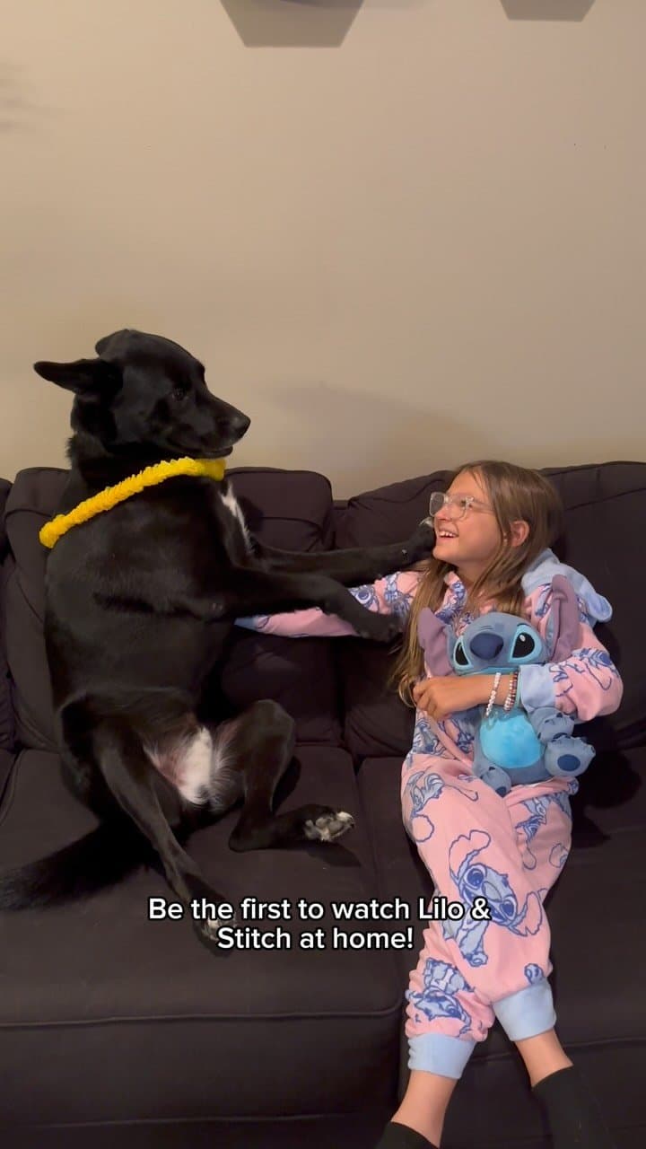 Family movie night hits different 🥹🐾 Watching Lilo & Stitch had everyone emotional — even Bosco. 'Ohana means nobody g