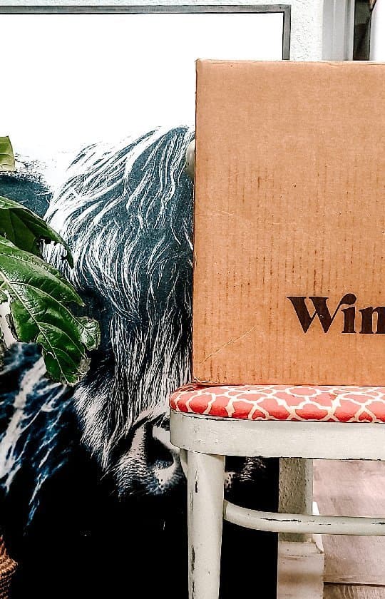an unboxing of this months @winc wine picks along with my review of their monthly delivery service!
Head to the link in