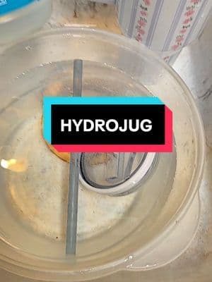 HOW TO CLEAN YOUR MOLDY LID! Use vinegar! #hydrojug #primrose #mold #tiktokshopcreatorpicks
