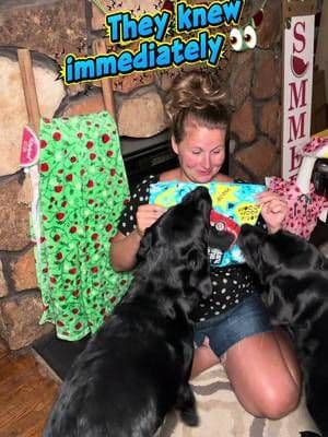 The second this package showed up, they KNEW it was for them. ๐๐ถ๐ BarkBox gifted the girls these Knights of Gnawmore