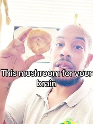 Real mushrooms gets real results!! No junk no filler just results! It’s also on a special deal! #realmushrooms #lionsmane #brainrot #focus #tiktokshop @real mushrooms