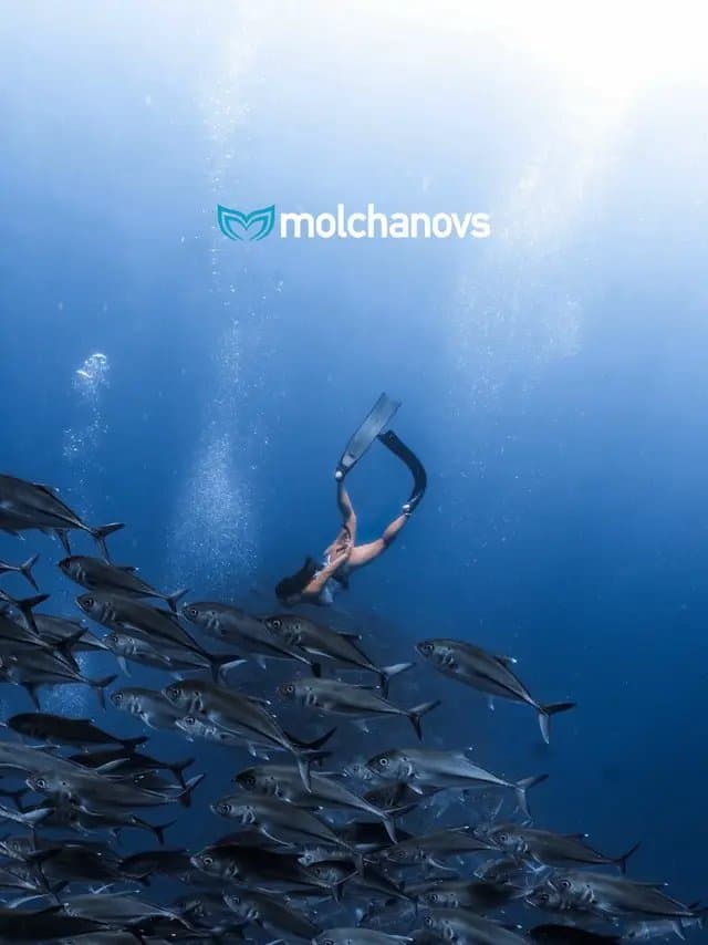 Some people run. Some people journal. Mine is freediving. 💖 As someone who works in the creative crazy space, the ocean