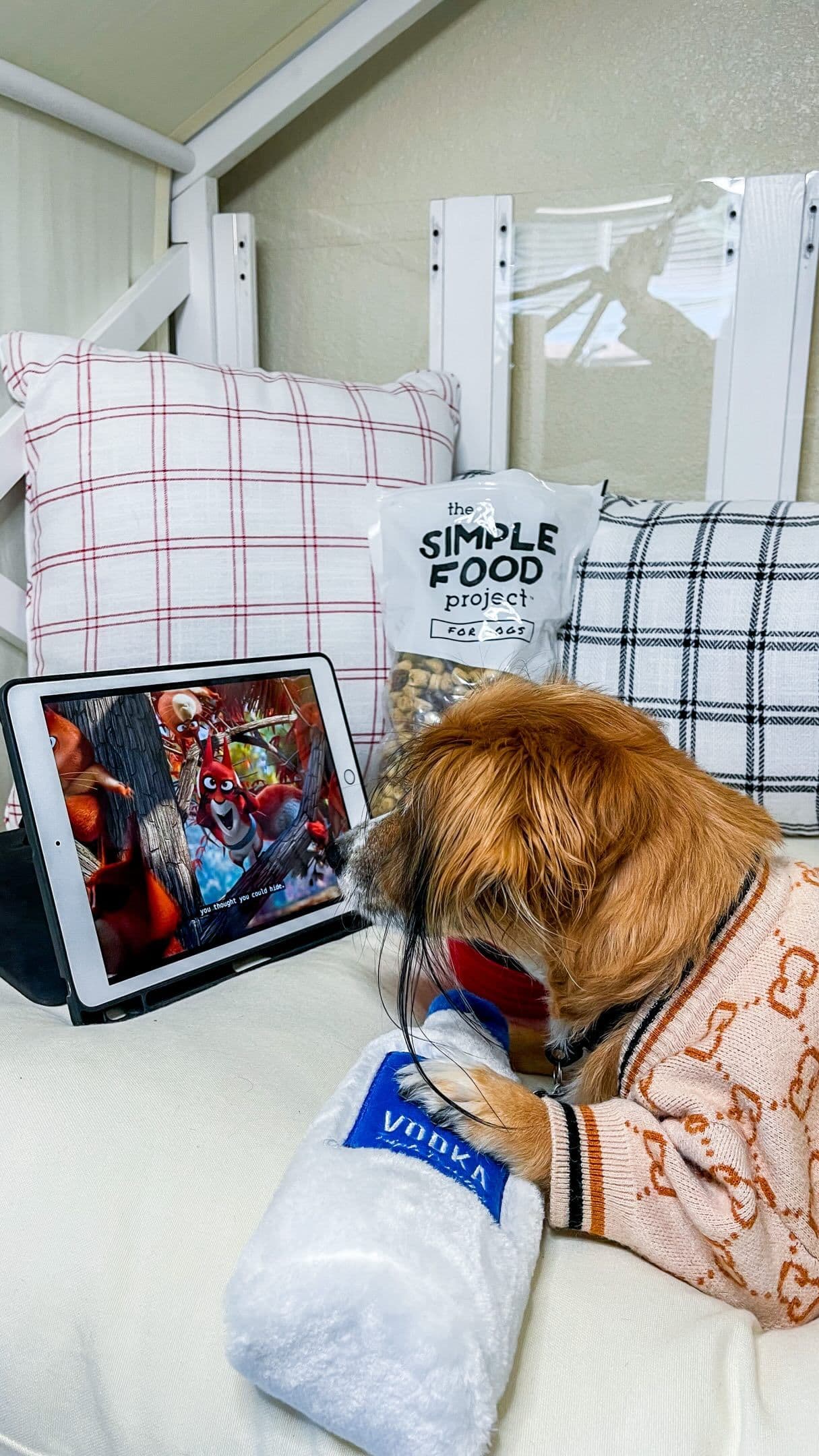 How dare she go out WITHOUT me 😤
.
At least my grandpawrents have the good snacks! Love my @simplefoodproject food use