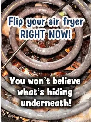 I’m warning you… if you’ve never turned your air fryer upside down, this is your sign. I have two air fryers and one of