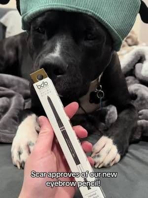 Should I draw him some eyebrows!? 🤔 #eyebrowpencil #eyebrows #ad #billiondollarbrows #perfecteyebrows