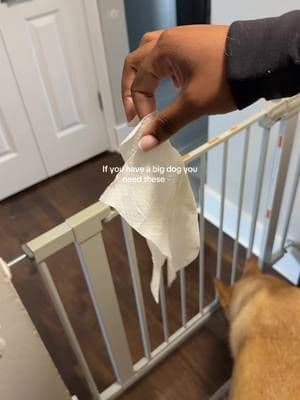 All u need is one wipe to remove all the dirt from ur dogs paws 🐾 @TropiClean #tiktokshop #dogtok #cleantok #homefinds #dogwipes