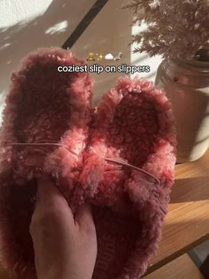 These slippers >>> every pair I’ve ever owned #heydudeslippers #slipperseason #tiktokshopblackfriday #tiktokshopcybermonday #tiktokshopholidayhaul