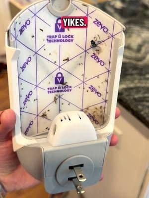 I love this season, but NOT THE BUGS. So annoying! @Zevo TO SAVE THE DAY 🙌 I have two of these in my kitchen. Work like a charm. Proof is in the video, don’t hesitate you will thank me. #michiganmomtok #tiktokshop #bug #kitchen #parentsoftiktok