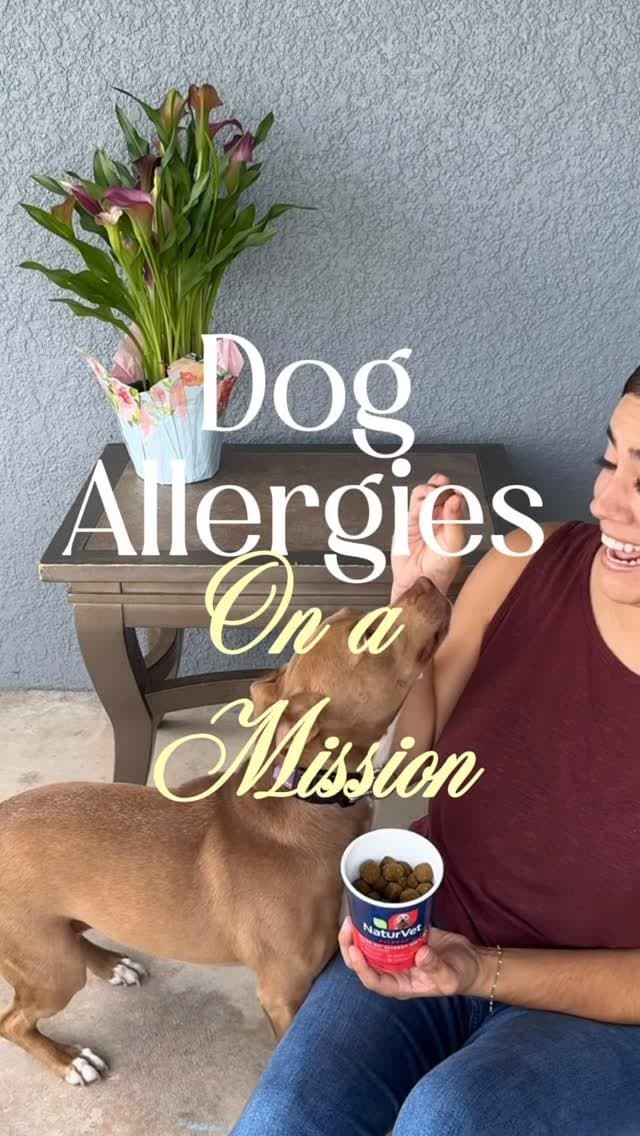 Dog Allergies on a Mission with @naturvet find them at your local @walmart
#partnership #orlandohummingbirds