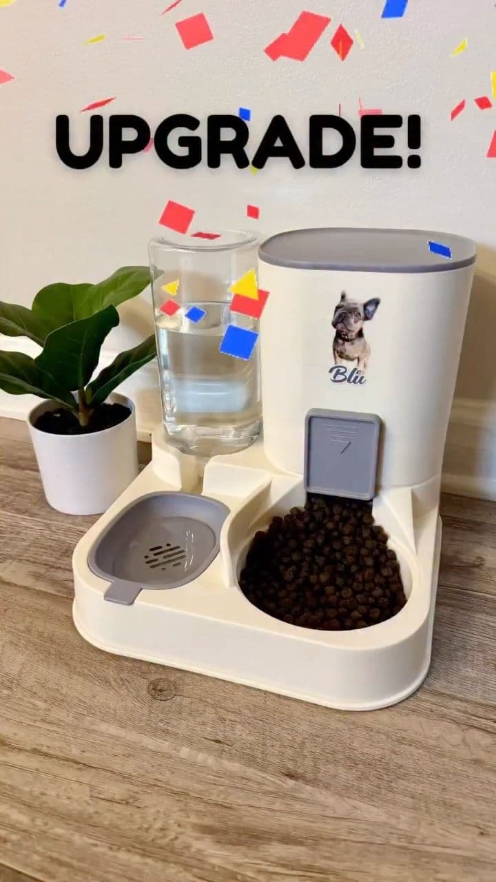We upgraded Blu’s feeding setup — and honestly, it might be smarter than mine 😅💧
Personalized, practical, and Blu-app