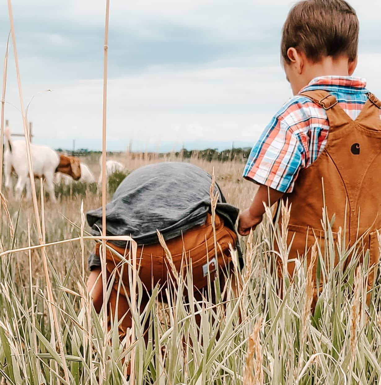 Kids can be pretty simple. Give em some fresh air, sunshine and a field to run through and explore and they will enterta