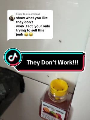 Replying to @j they absolutely do work, the flys love it in there mate. I’ve left a link for you, makes it easier to buy now you’ve seen them in action ☺️🧡 #ninja #flys #flies #insects #questionanswer #dealdrops #tiktokshopmademebuyit