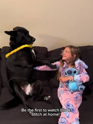 Family movie night hits different 🥹🐾 Watching Lilo & Stitch had everyone emotional — even Bosco. 'Ohana means nobody g